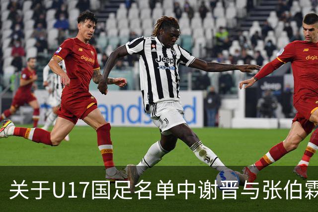 关于U17国足名单中谢晋与张伯霖落选原因的分析